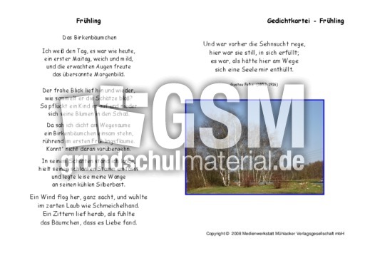 Birkenbaeumchen-Falke.pdf